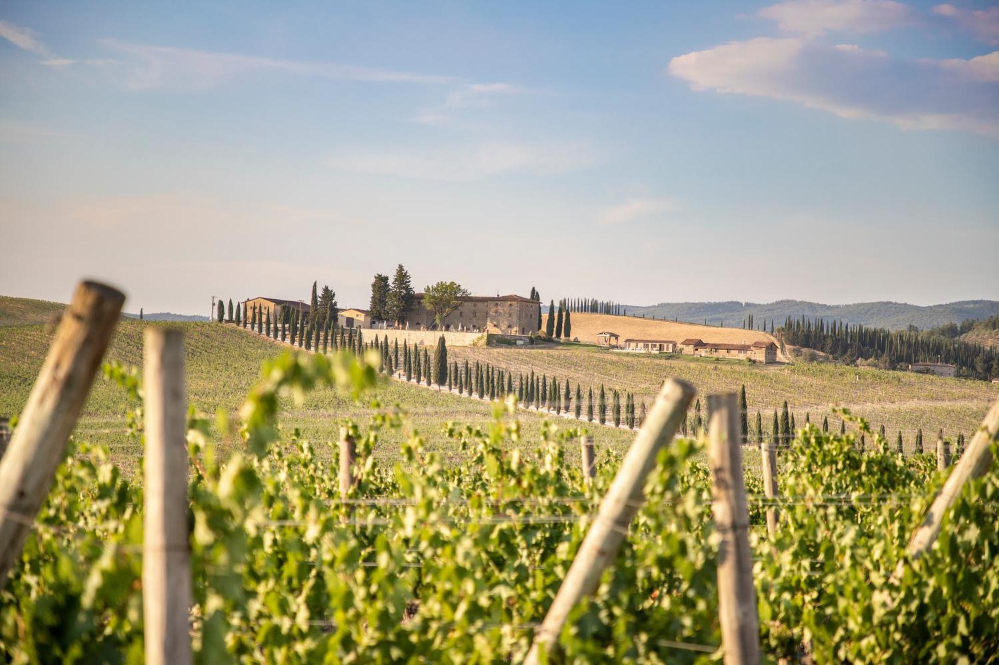 Agriturismo Casale Dello Sparviero Castellina in Chianti Exterior photo