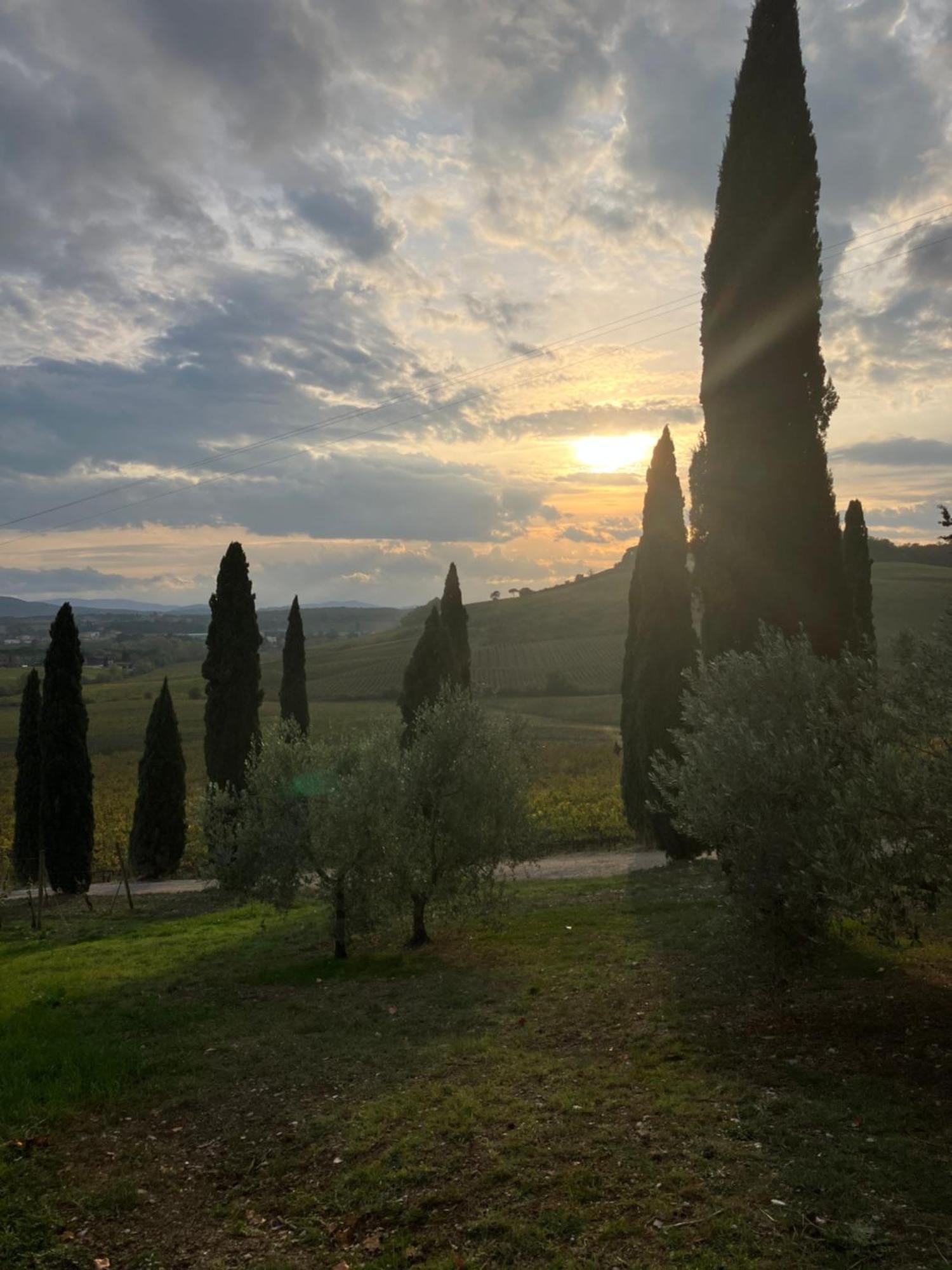 Agriturismo Casale Dello Sparviero Castellina in Chianti Exterior photo