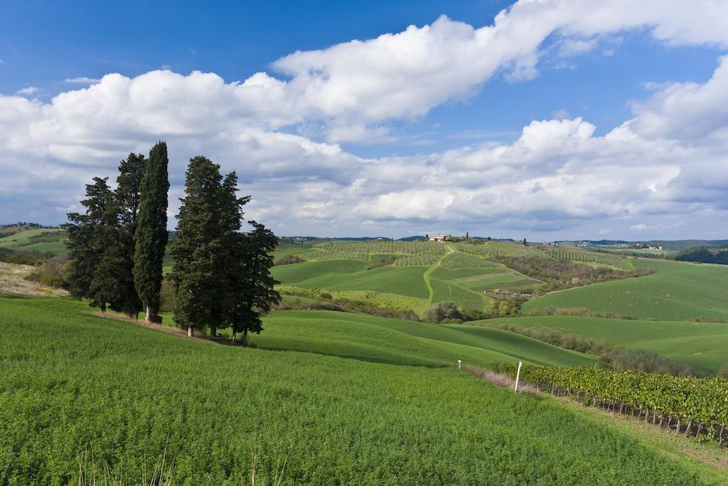 Agriturismo Casale Dello Sparviero Castellina in Chianti Exterior photo